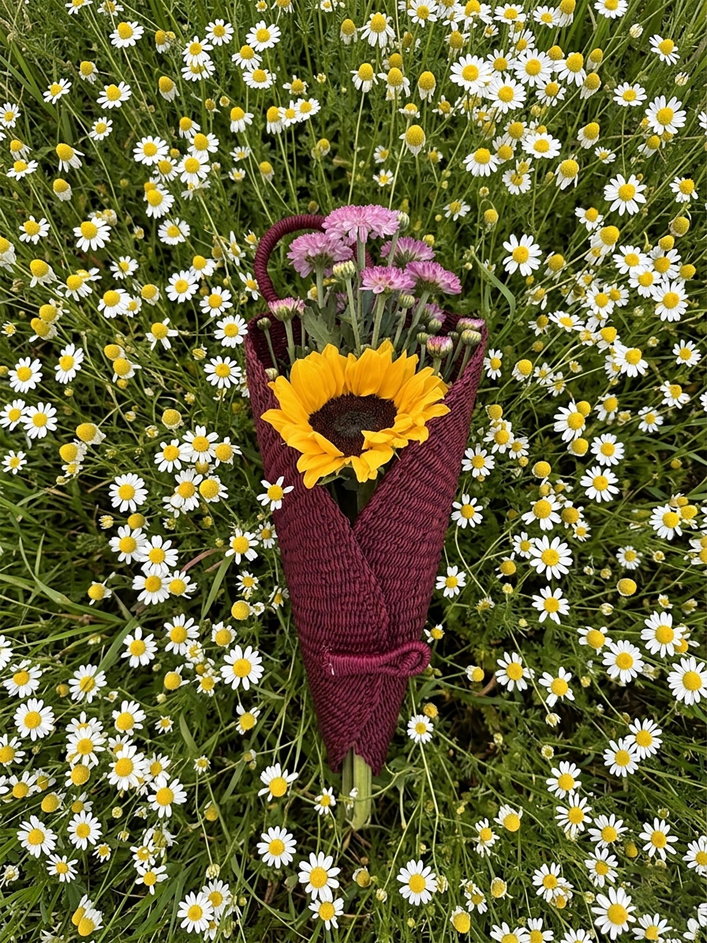 Bloom